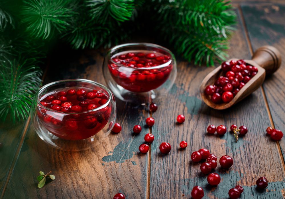The Unsung Hero of Women’s Wellness: Cranberry Gummies Explained