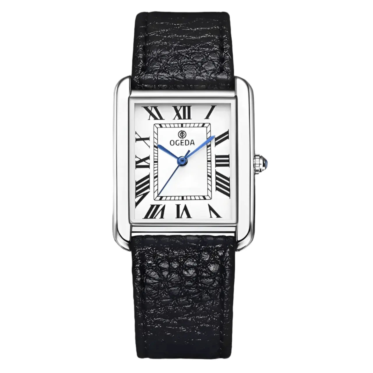 OGEDA - Sergio Cavelli